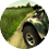 Off-road vehicle on a dirt track