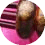 Chocolate cupcake on pink background.